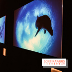 Reflets de la nature, nos photos de l'exposition - IMG 4824