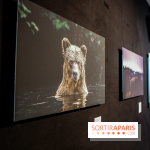 Reflets de la nature, nos photos de l'exposition