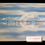 Reflets de la nature, nos photos de l'exposition
