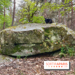Dolmen de la Pierre Ardoue - IMG 0983
