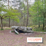 Dolmen de la Pierre Ardoue - IMG 0988