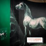 Les chevaux de Géricault : l'exposition hommage au peintre se dévoile au musée de la Vie Romantique - IMG20240514095313