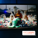 Artificial Dreams - DSC 0083