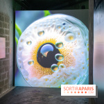 Artificial Dreams - DSC 0091