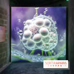 Artificial Dreams - DSC 0093