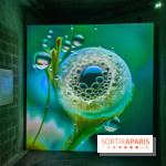 Artificial Dreams - DSC 0094