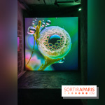 Artificial Dreams - DSC 0095