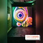 Artificial Dreams - DSC 0096