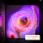 Artificial Dreams - DSC 0097