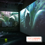 Artificial Dreams - DSC 0100