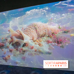 Artificial Dreams - DSC 0116