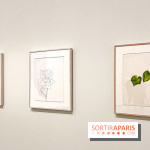 Formes et couleurs, l'exposition hommage à Ellsworth Kelly à la Fondation Louis Vuitton - image00043