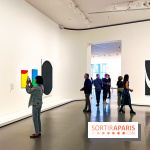 Formes et couleurs, l'exposition hommage à Ellsworth Kelly à la Fondation Louis Vuitton - image00069