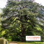 La Fondation Coubertin et son Domaine -  A7C2837