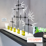 Jardins jardin 2024 à la Villa Windsor au Bois de Boulogne  -  A7C5034