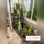 Jardins jardin 2024 à la Villa Windsor au Bois de Boulogne  -  A7C5061