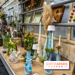 Jardins jardin 2024 à la Villa Windsor au Bois de Boulogne  -  A7C5062