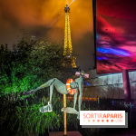 Nuit Blanche 2024 à Paris - IMG20240531225039