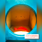 Oh my Gods, l'exposition de Wenna qui nous plonge dans des mondes merveilleux au musée en Herbe - IMG20240605114753