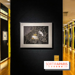 Exposition OR NORME à la Maison Guerlain des Champs-Élysées - image00026