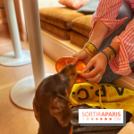 Casa del Doggo - IMG 1619