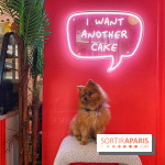 Casa del Doggo - IMG 1642