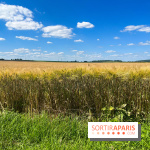 Paris-Meaux à vélo, nos photos - image00060