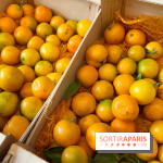 Lemon Story - Agrumes