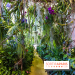 Exposition Paris à l'Hôtel de Ville - les Photos