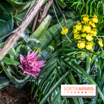 Exposition Paris à l'Hôtel de Ville - les Photos