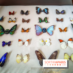 We are Here : l'exposition d'art urbain au Petit Palais - IMG20240611093452