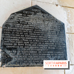 Le Château de la Roche Guyon, le château troglodyte dans le Val-d'Oise - 95 -  A7C6209