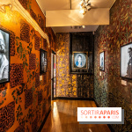 Maison Jean Cocteau à Milly-la-Forêt en Essonne - photos -  exposition musique