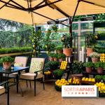 Limonaia Urbana - masterclasses et dégustations à l'italienne au Café de l'Homme - image00059