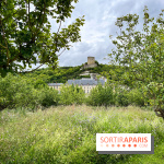 Potager-Fruitier de la Roche Guyon - nos photos - image00027