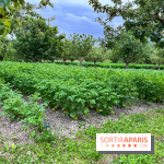 Potager-Fruitier de la Roche Guyon - nos photos