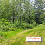 Arboretum de la Roche-Guyon - nos photos