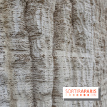 Ligne 14 : révélation de la gare Hôpital Bicêtre - IMG 5304