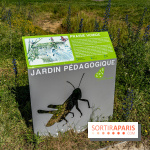 Le Parc du peuple de l'herbe dans les Yvelines - Étang de Galiotte - Carrières-sous-Poissy