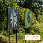 Le Parc du peuple de l'herbe dans les Yvelines - Étang de Galiotte - Carrières-sous-Poissy