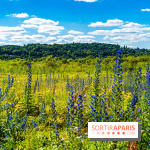 Le Parc du peuple de l'herbe dans les Yvelines - Étang de Galiotte - Carrières-sous-Poissy