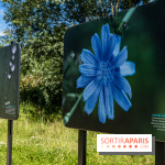 Le Parc du peuple de l'herbe dans les Yvelines - Étang de Galiotte - Carrières-sous-Poissy -  A7C7489