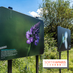 Le Parc du peuple de l'herbe dans les Yvelines - Étang de Galiotte - Carrières-sous-Poissy
