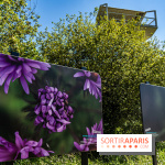 Le Parc du peuple de l'herbe dans les Yvelines - Étang de Galiotte - Carrières-sous-Poissy -  A7C7493