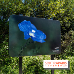 Le Parc du peuple de l'herbe dans les Yvelines - Étang de Galiotte - Carrières-sous-Poissy