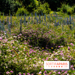 Le Parc du peuple de l'herbe dans les Yvelines - Étang de Galiotte - Carrières-sous-Poissy -  A7C7504