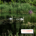 Le Parc du peuple de l'herbe dans les Yvelines - Étang de Galiotte - Carrières-sous-Poissy