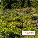 Le Parc du peuple de l'herbe dans les Yvelines - Étang de Galiotte - Carrières-sous-Poissy