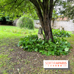 Le Jardin du Yoga à la Roche-Guyon - nos photos