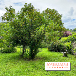 Le Jardin du Yoga à la Roche-Guyon - nos photos